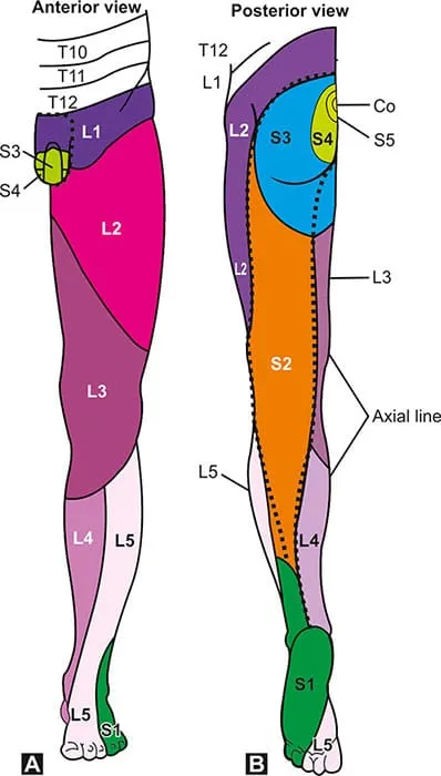 Lumbar Spine Assessment Guide Steps Tests Key Findings Lumbar Spine Assessment Guide Steps Tests Key Findings